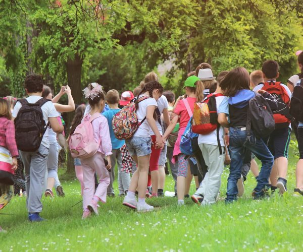 Kids in the nature strolling